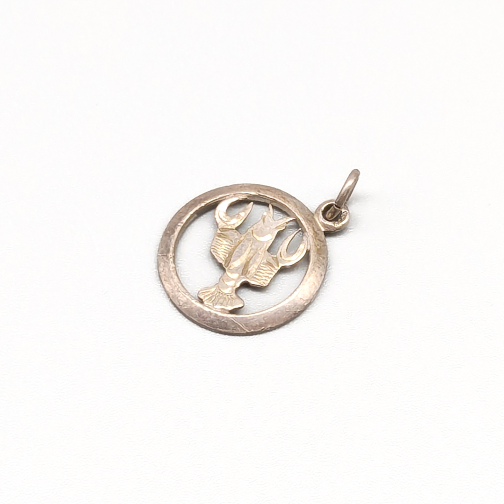 Silverhänge Stjärntecken Kräftan S830 0.84g 18mm - Bild 2
