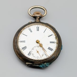 Fickur i Silver S800 23.19g 43cm