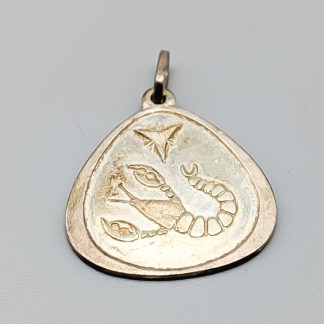 Hänge i Silver Stjärntecken Kräfta S830 2.33g 21mm