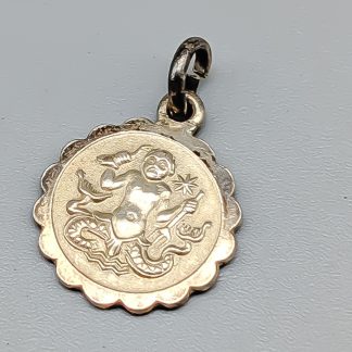 Hänge i Silver med Stjärntecken Vattuman S925 1.08g 15mm