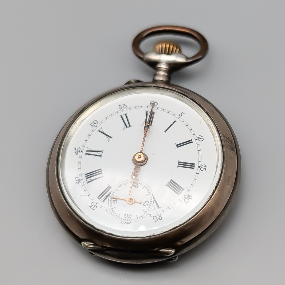 Fickur i Silver S800 26.26g 4.8cm