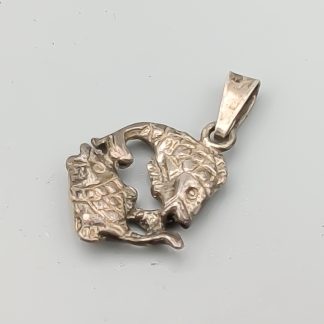 Hänge i Silver Stjärntecken Fiskarna S925 1.75g 17mm