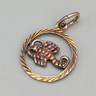 Hänge i Silver Stjärntecken Skorpionen S925 0.98g 17mm