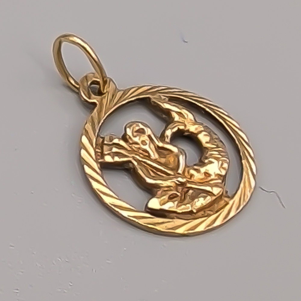 Hänge i Guld Stjärntecken Stenbocken 18K 1.32g 17mm