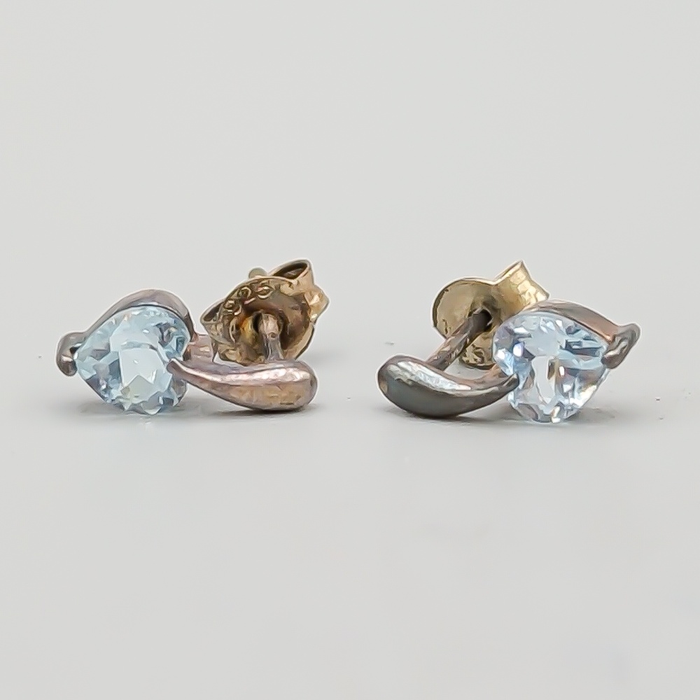 Örhängen i Silver med Blå Stenar S925 1.22g 10mm