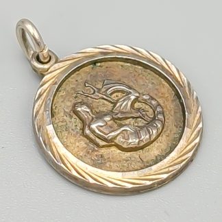 Hänge i Silver Stjärntecken Vattumannen S925 2.5g 19mm
