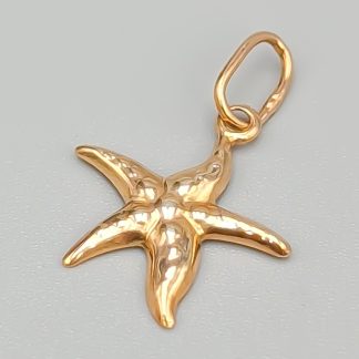 Hänge i Förgyllt Silver Sjöstjärna S925 0.28g 16mm