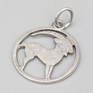 Hänge i Silver Stjärntecken Stenbocken S830 0.9g 17mm